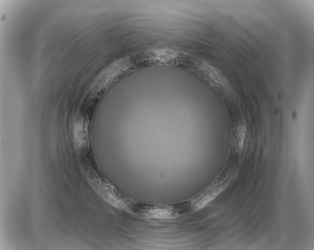 X0000086760236200704131124