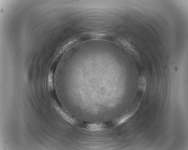 X0000086760238200704131124