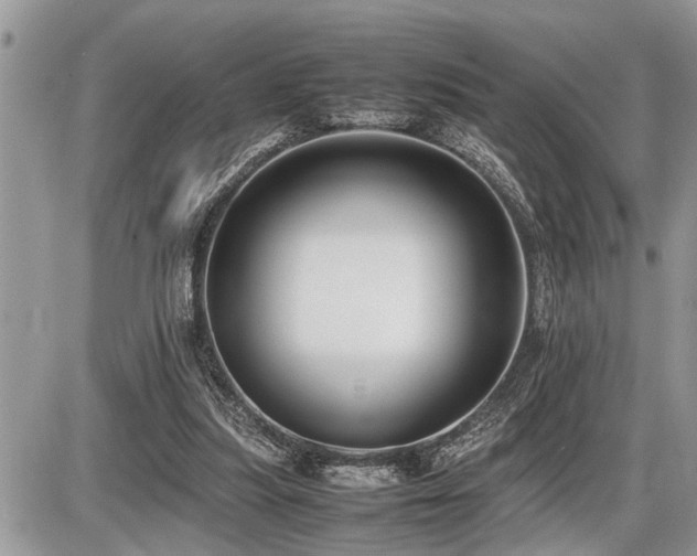 X0000086760251200704131123