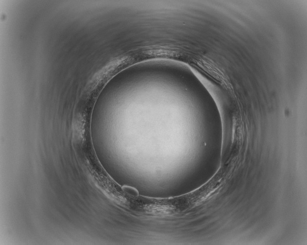 X0000086760255200704131123
