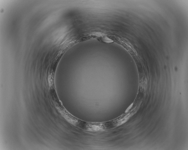 X0000086760285200704131124