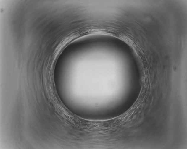 X0000086760289200704131123