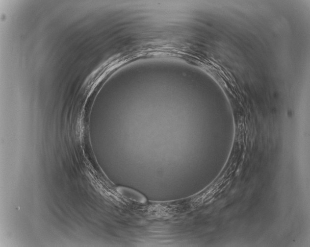 X0000086760290200704131123