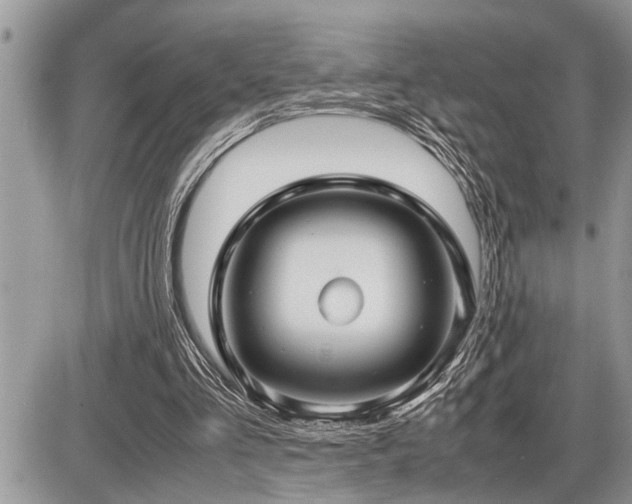 X0000086760293200704131123
