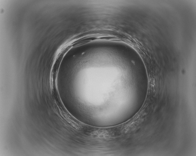 X0000086760294200704131123