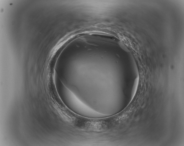 X0000086760295200704131123