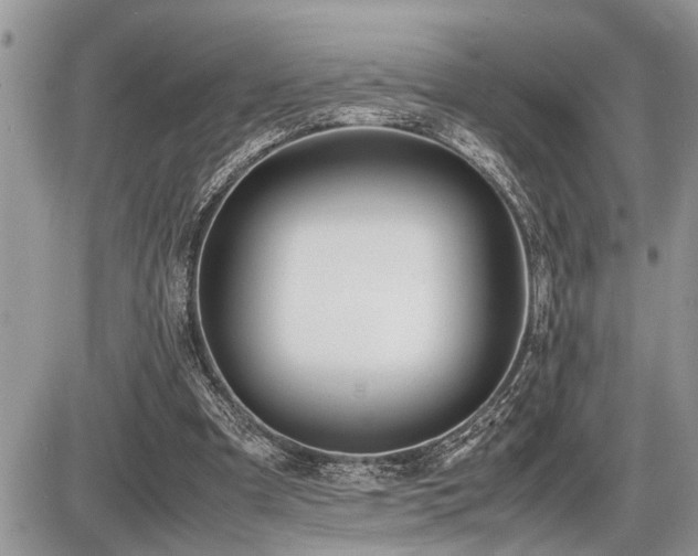X0000086760297200704131123