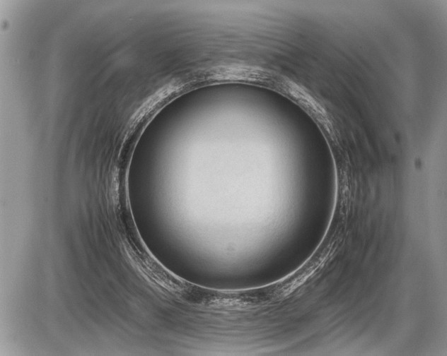 X0000086760298200704131123