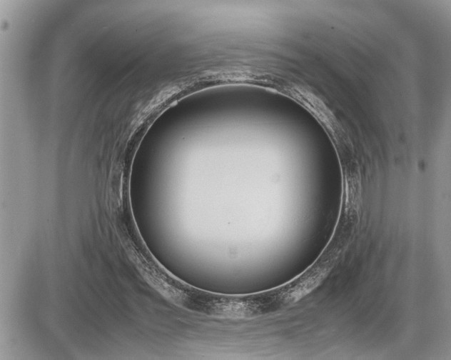 X0000086760301200704131123