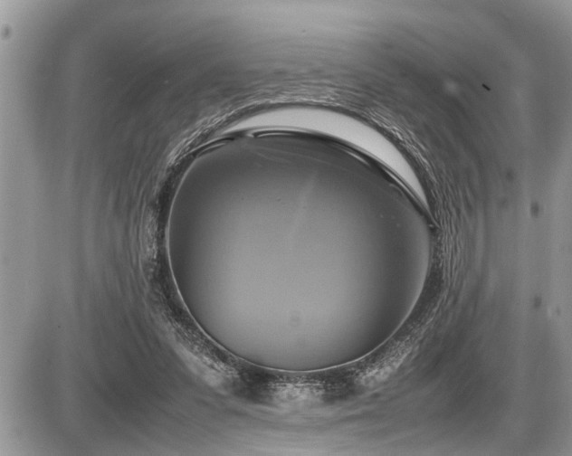 X0000086760303200704131123