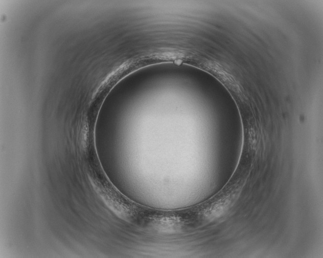 X0000086760304200704131123