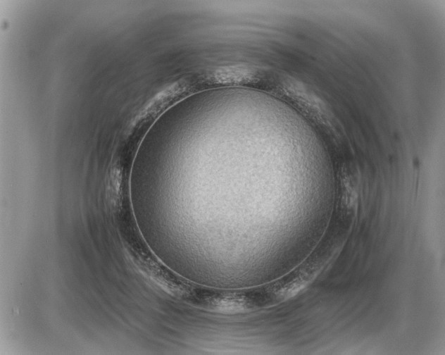 X0000086760308200704131122