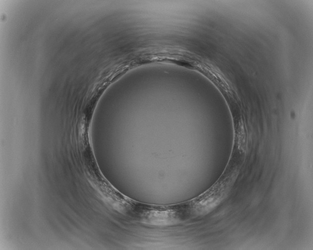 X0000086760314200704131122
