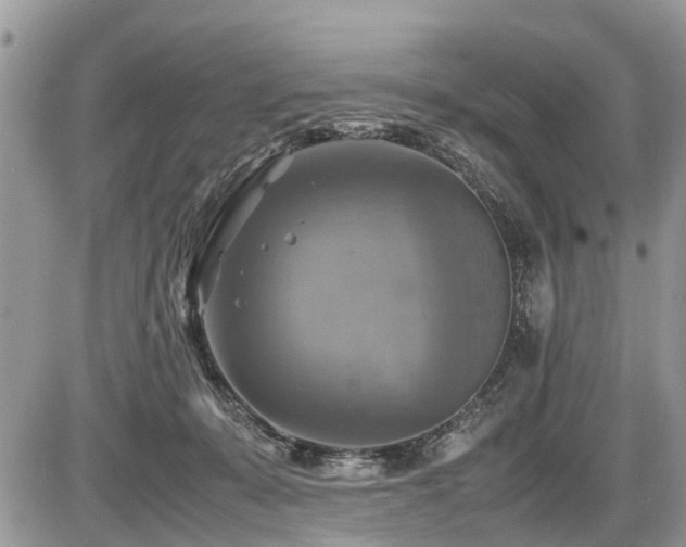 X0000086760319200704131122