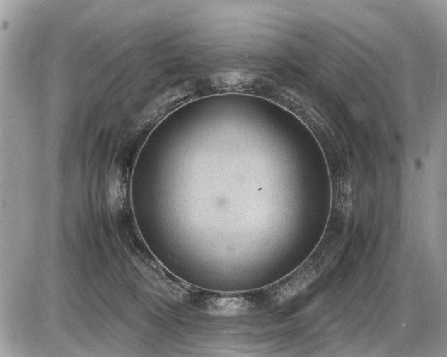 X0000086760324200704131122