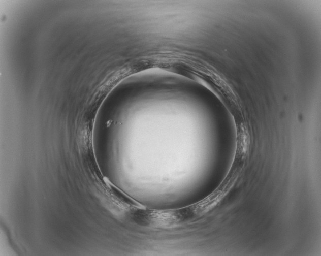 X0000086760333200704131122