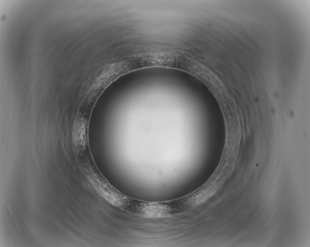 X0000086760336200704131122