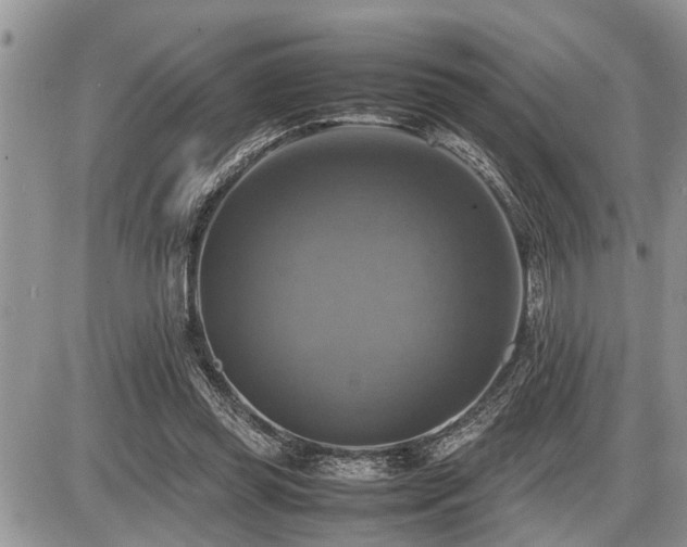 X0000086760349200704131121