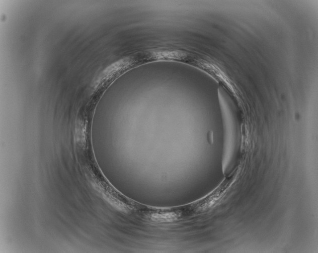 X0000086760357200704131122