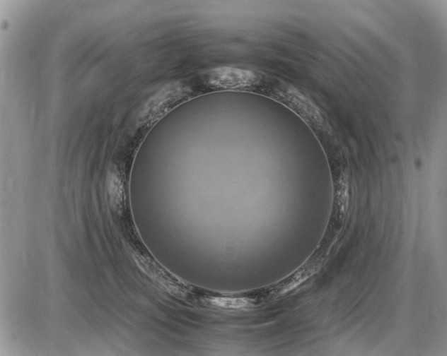 X0000086760371200704131122