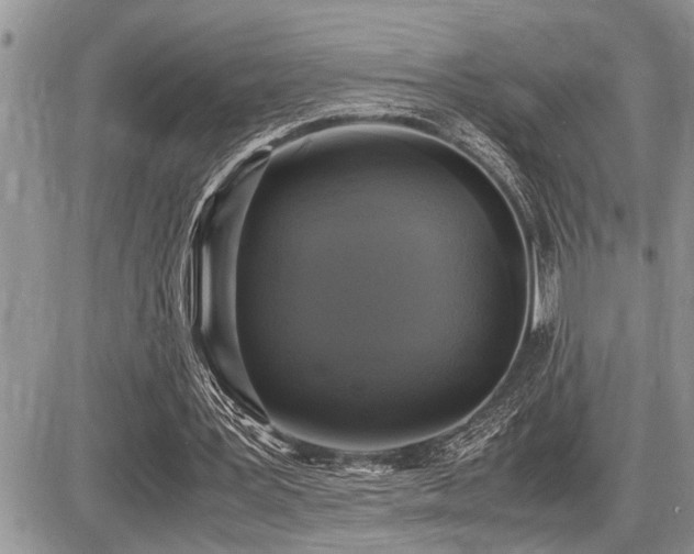 X0000086760387200704131121