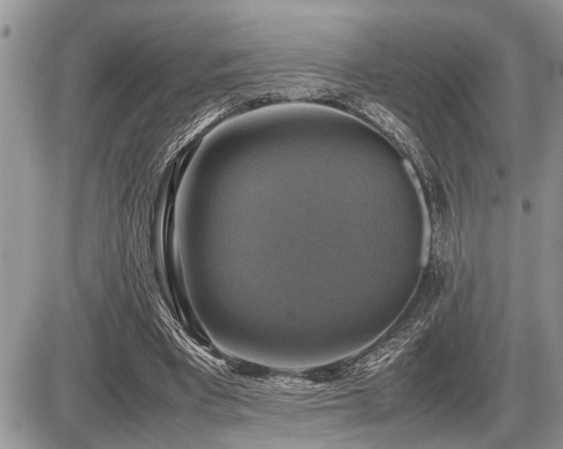 X0000086760393200704131121