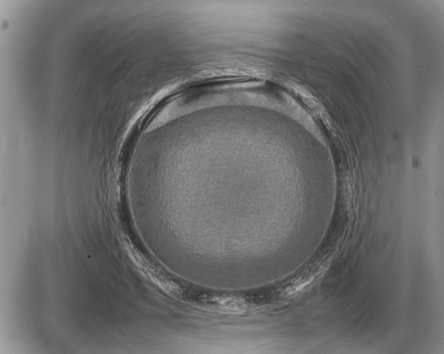 X0000086760395200704131121