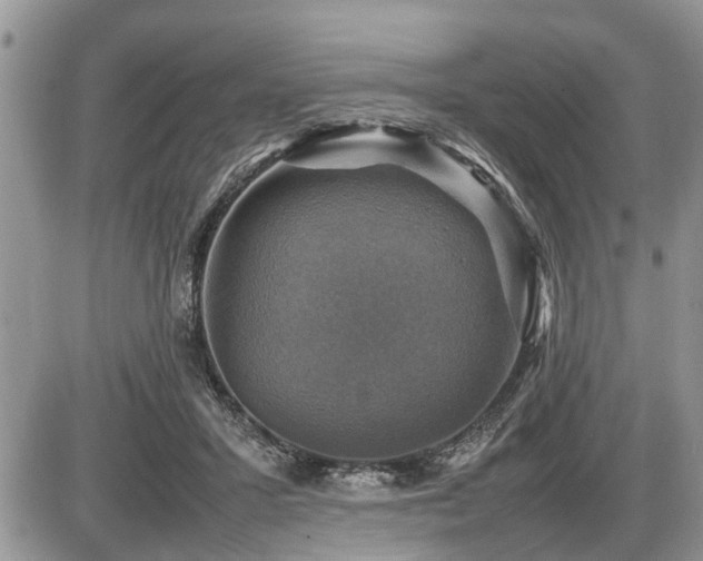X0000086760407200704131121