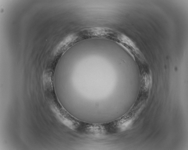 X0000086760415200704131121
