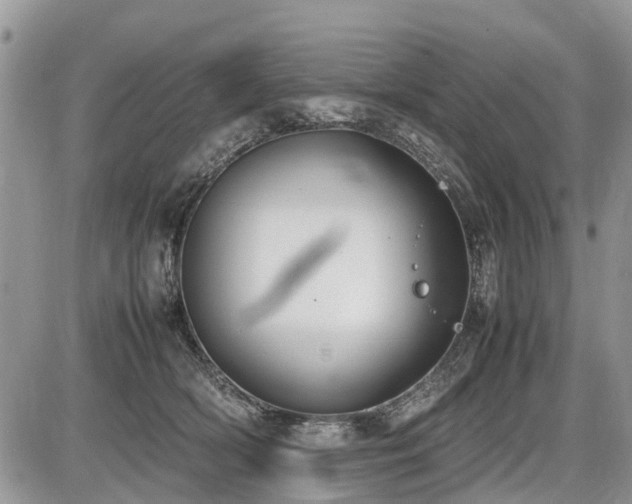 X0000086760418200704131121