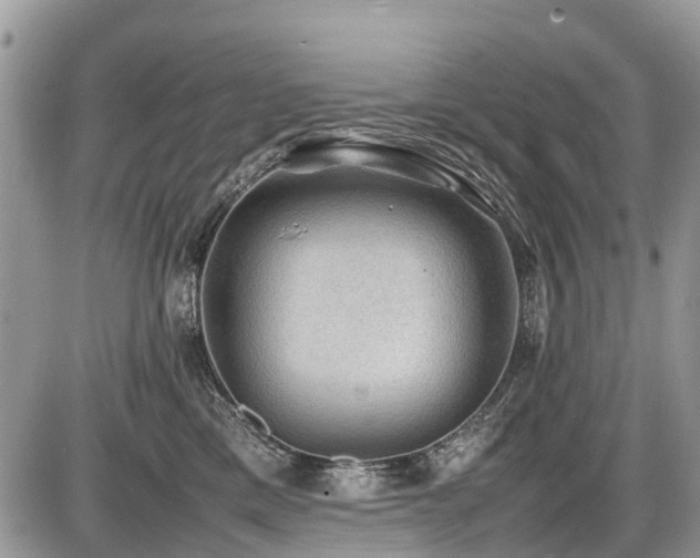 X0000086760425200704131121