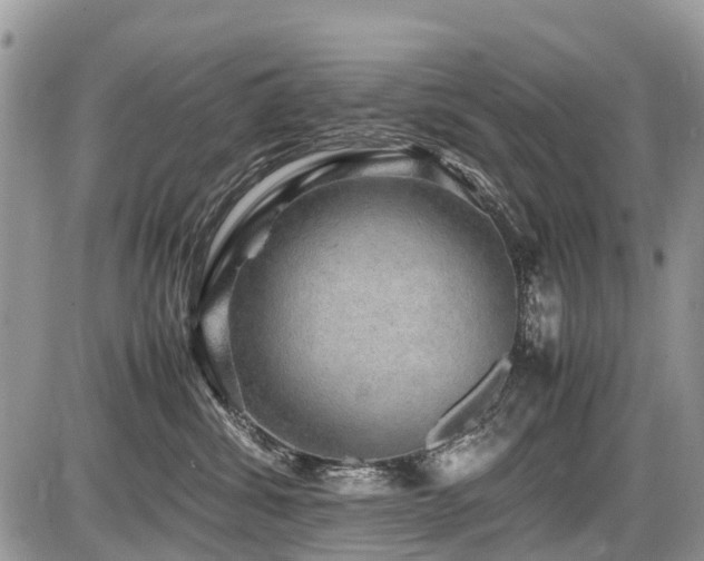 X0000086760428200704131120