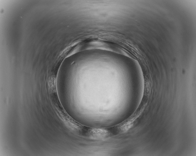 X0000086760429200704131120