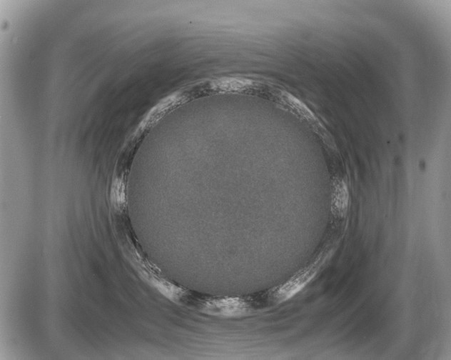 X0000086760431200704131120