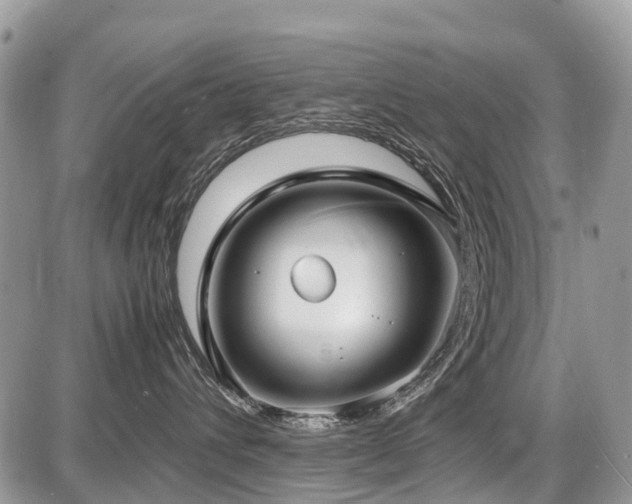 X0000086760432200704131120
