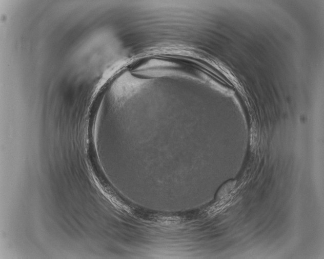 X0000086760438200704131120