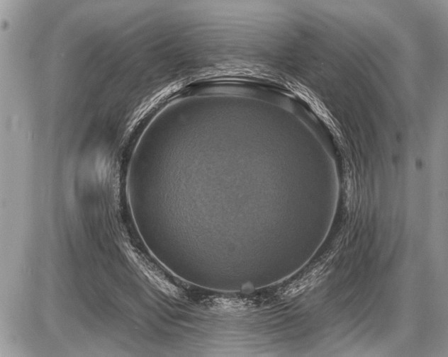 X0000086760442200704131120