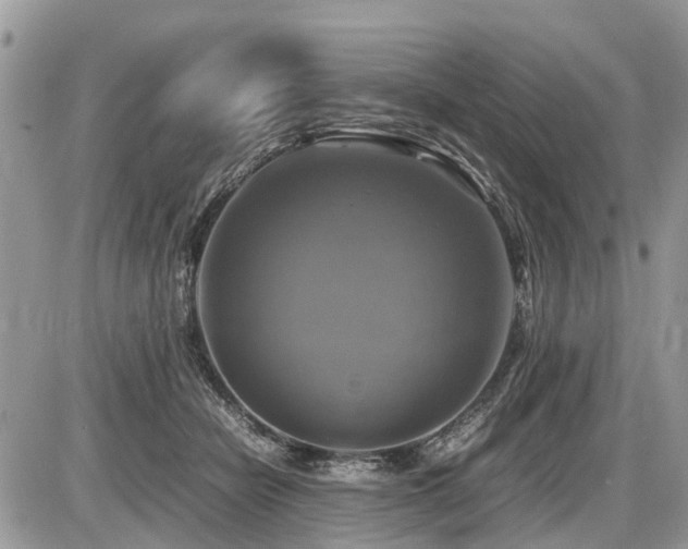X0000086760462200704131120
