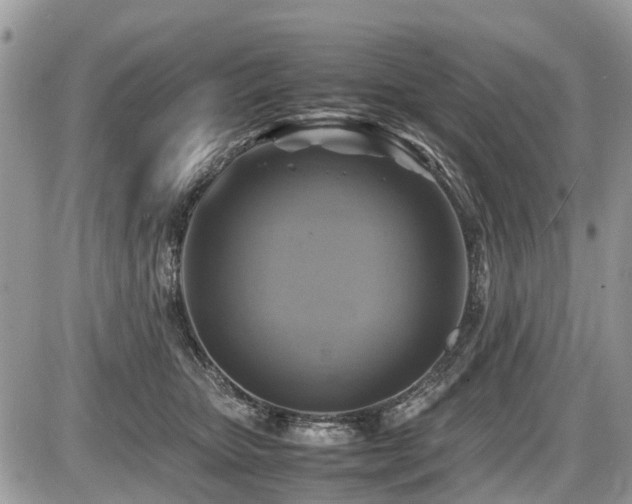 X0000086760467200704131120