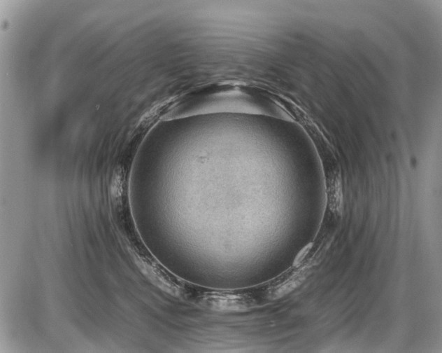 X0000086760472200704131120