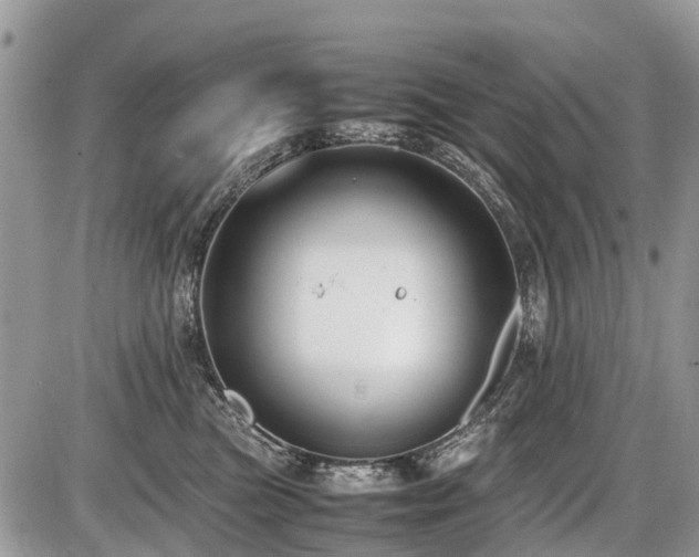 X0000086760473200704131120