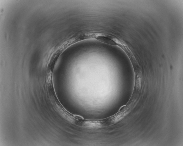 X0000086760477200704131120