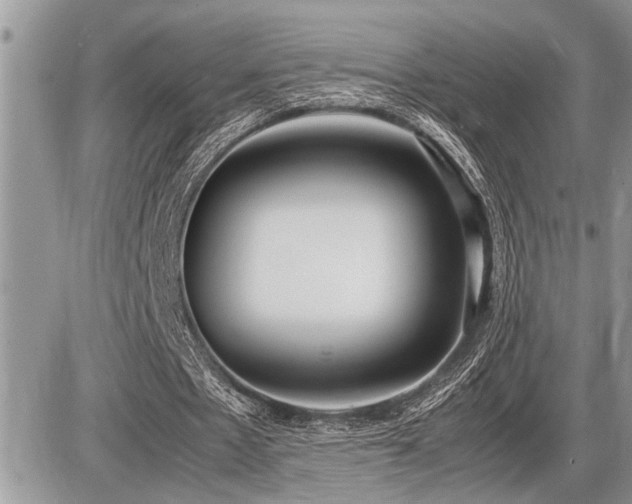 X0000086760481200704131120