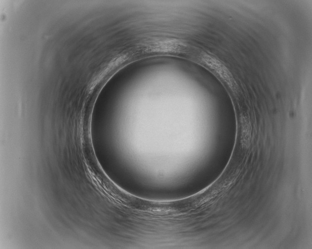 X0000086760482200704131120