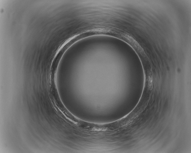 X0000086760484200704131120