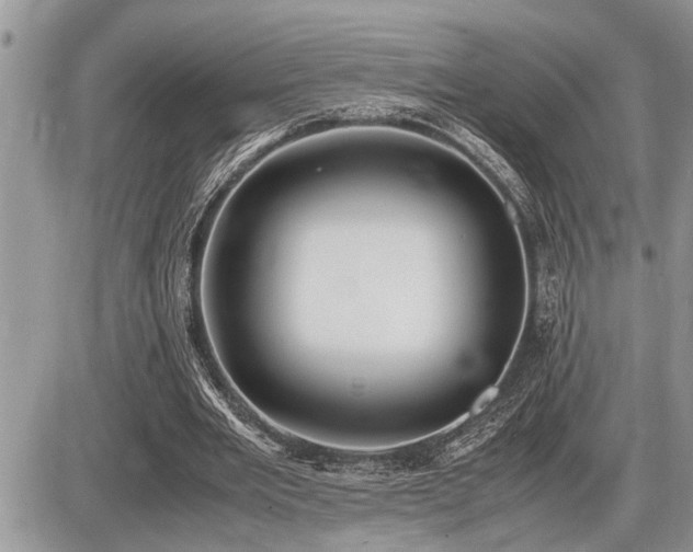 X0000086760485200704131119