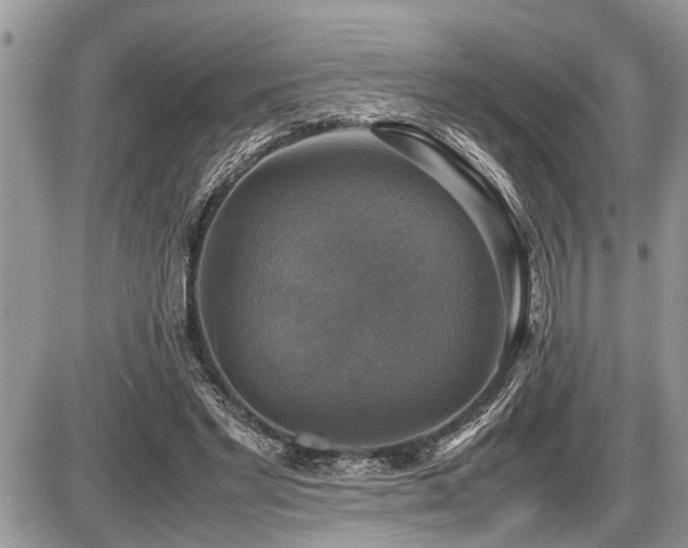 X0000086760493200704131119