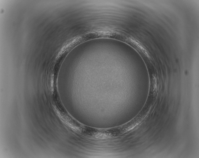 X0000086760494200704131119