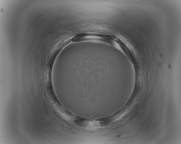 X0000086760501200704131119