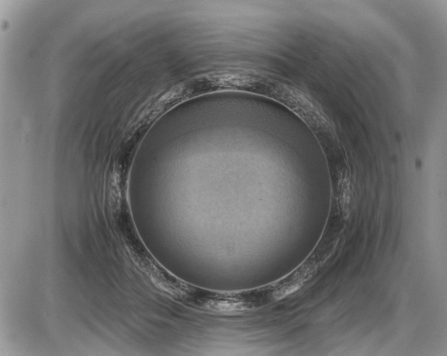 X0000086760506200704131119